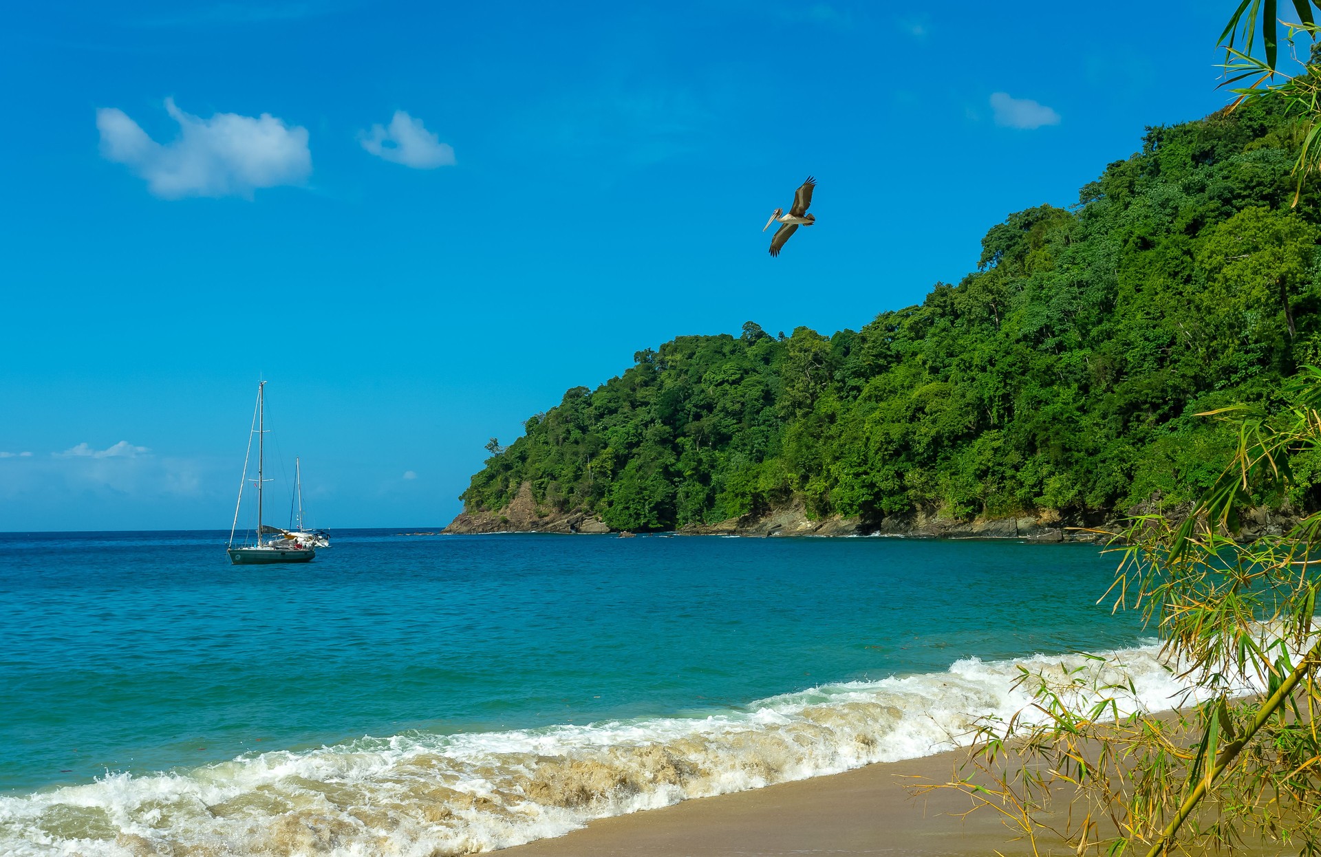 Tobago, known as the Robinson Crusoe Island.  Englishman's Bay on the tropical island of Tobago in the Caribbean.  Blue sea and sky with flying pelican and moored yachts.